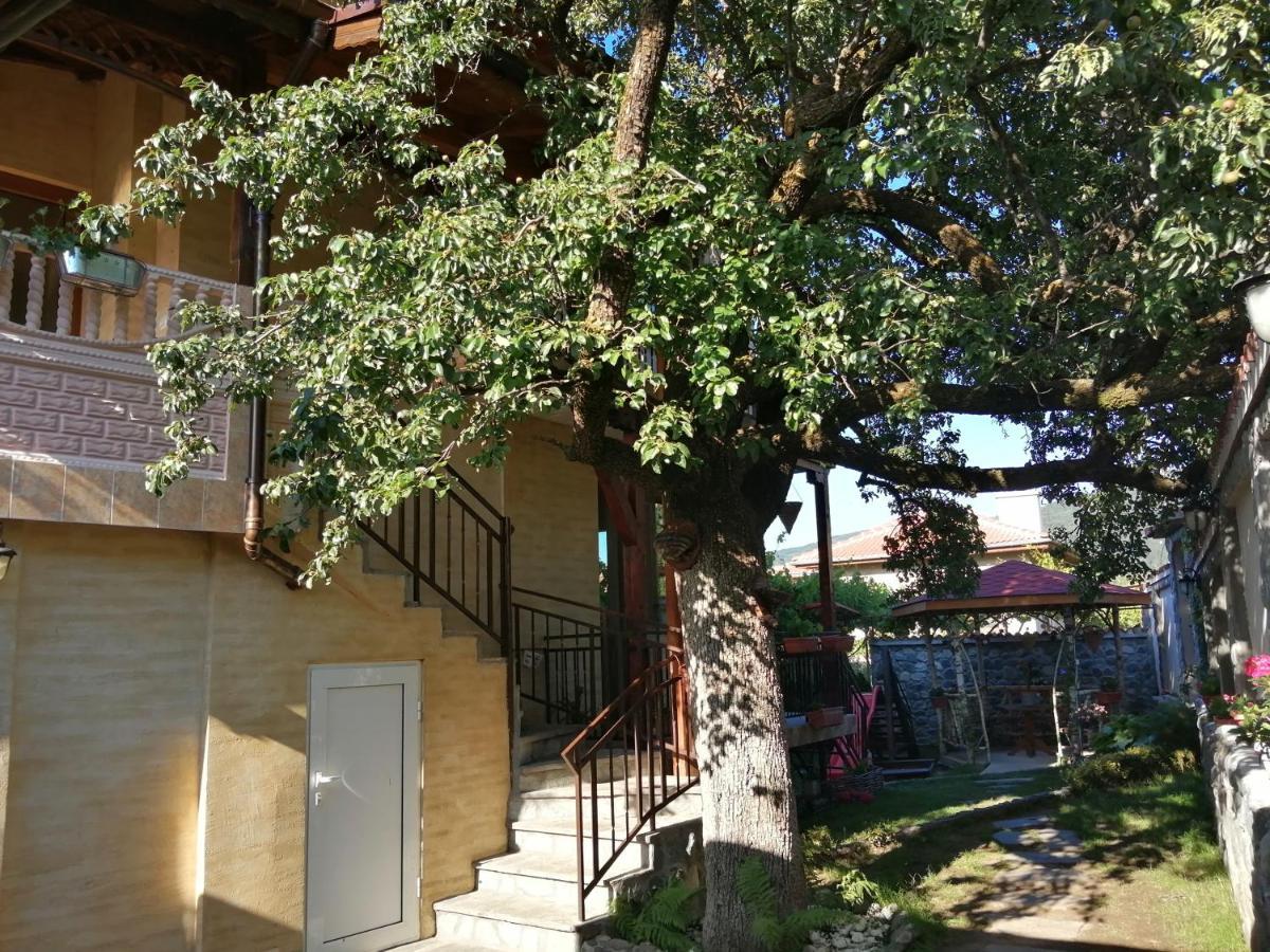 Dariya Guest House サパレヴァ・バニャ エクステリア 写真