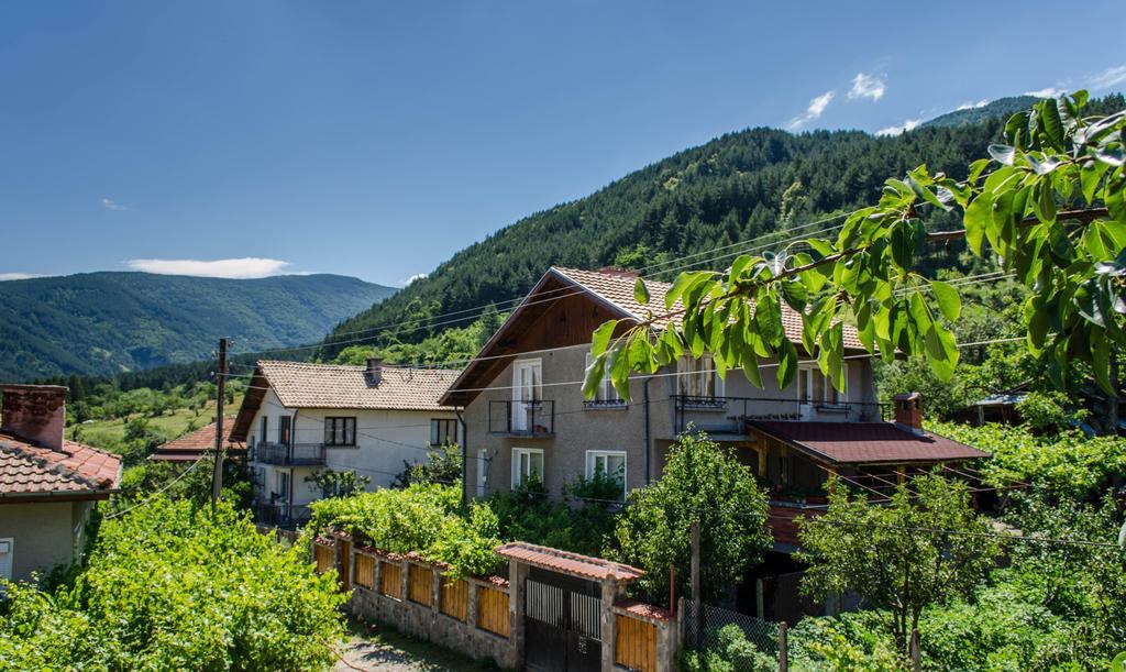 Dariya Guest House サパレヴァ・バニャ エクステリア 写真