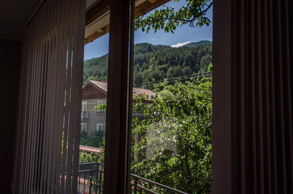 Dariya Guest House サパレヴァ・バニャ 部屋 写真